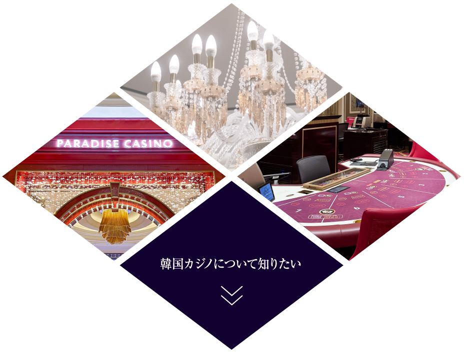 プライベートジェットプラン_韓国カジノについて知りたい