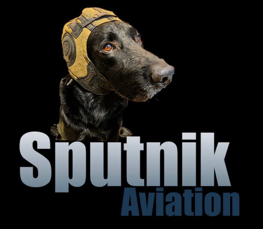 Sputnik Aviation_会社シンボル